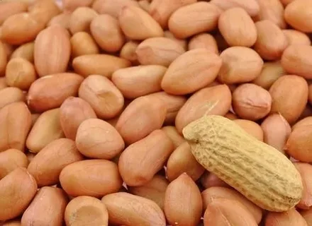 خرید بادام زمینی فله + بهترین قیمت
